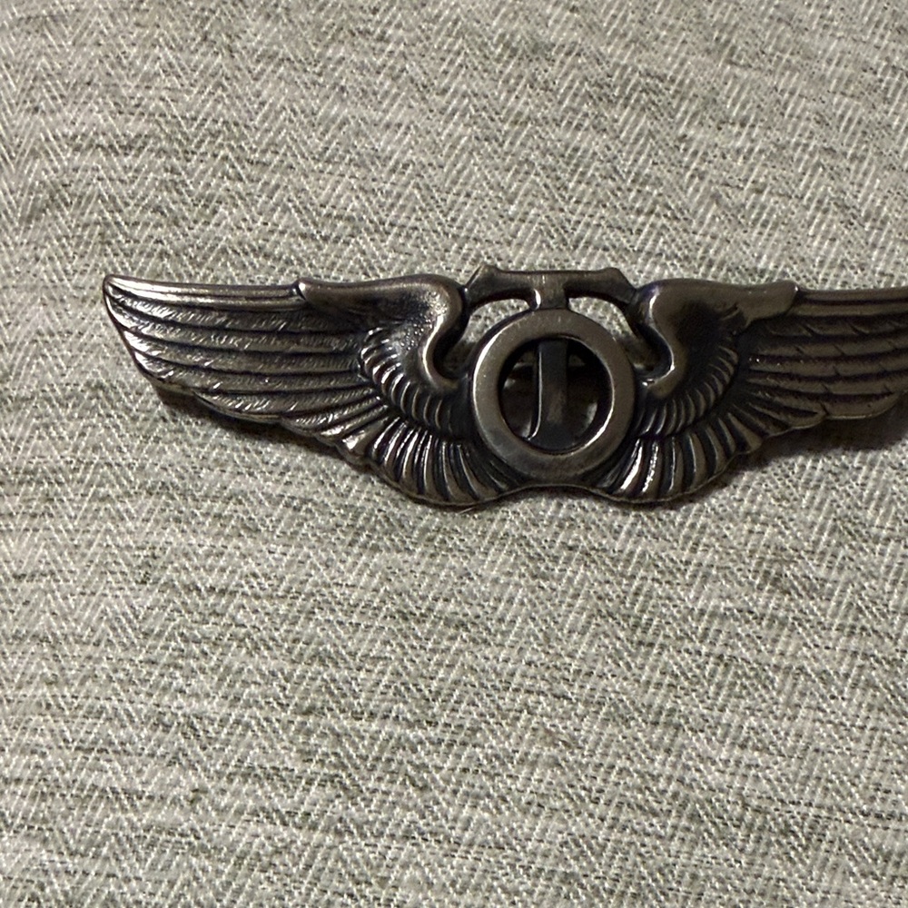 Technical Observer Wing Badge - image 2